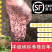 牛蛙蝌蚪种苗优质养殖质量优全国各地可发货