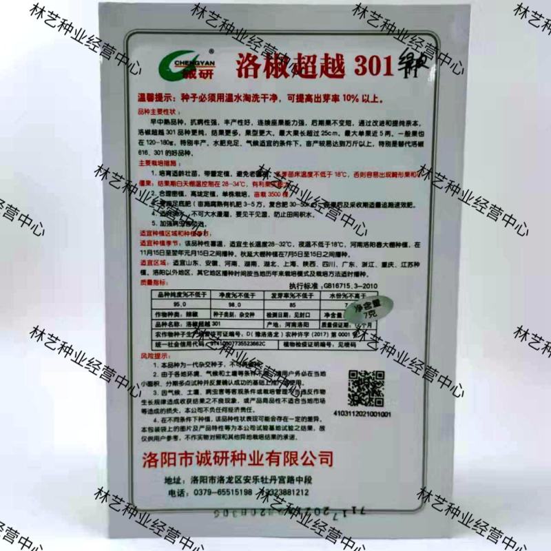 洛椒超越301辣椒种子种籽洛椒辣椒种子特大果牛角椒泡椒