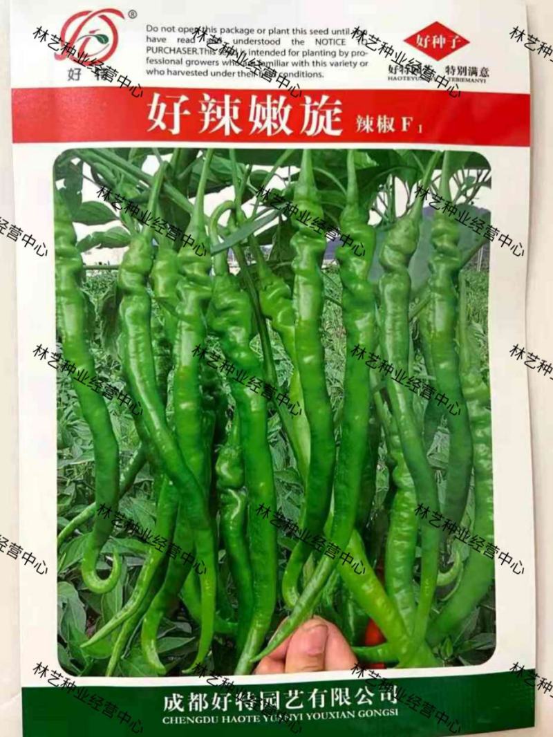 好辣嫩旋螺丝长线椒种子香辣味浓早熟高产抗病口感好大田辣椒