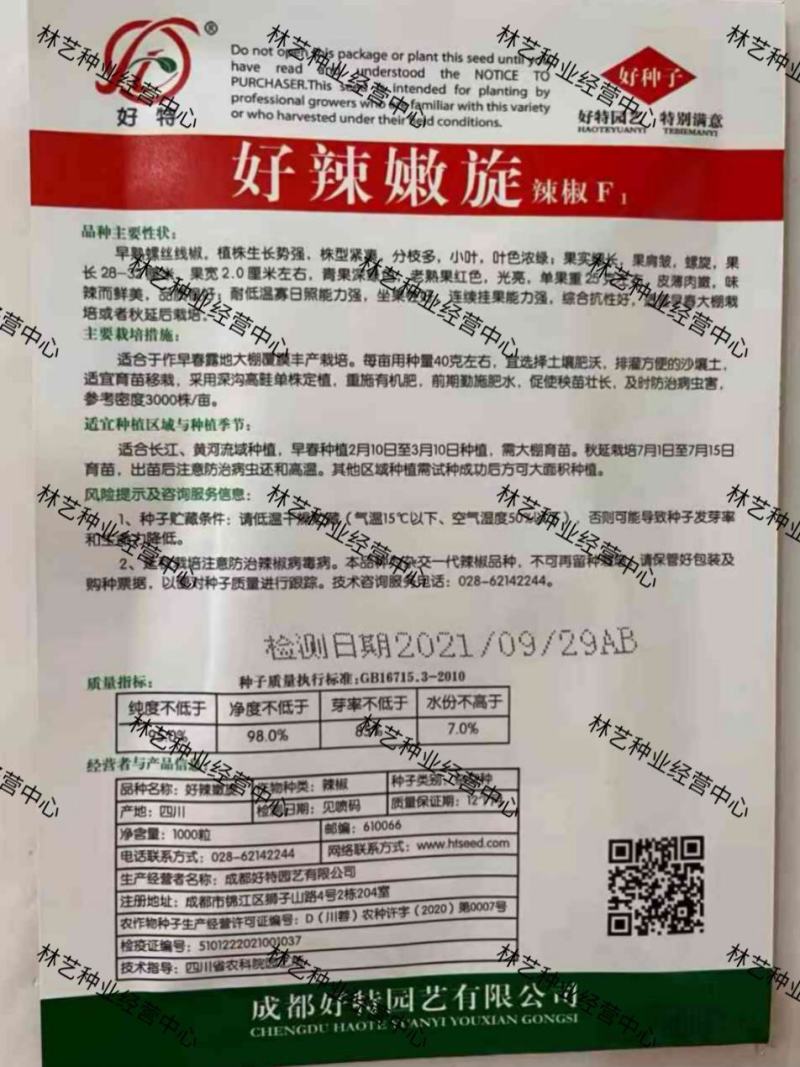 好辣嫩旋螺丝长线椒种子香辣味浓早熟高产抗病口感好大田辣椒