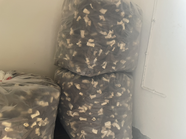 木质托盘上左侧为干燥的羊肚菌干货,呈深棕色蜂窝状;右侧为泡发后的鲜品,体积膨胀约5倍,颜色变浅,质地柔软,中间放置一把不锈钢秤,显示重量为25克,体现合理用量概念 羊肚菌干品与鲜品对比陈列图