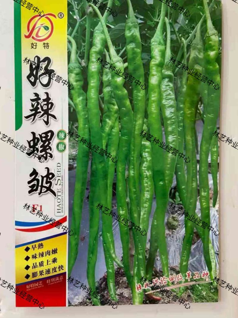 好特好辣螺皱螺丝长线椒种子早熟优质香辣薄皮皱皮辣椒种孑