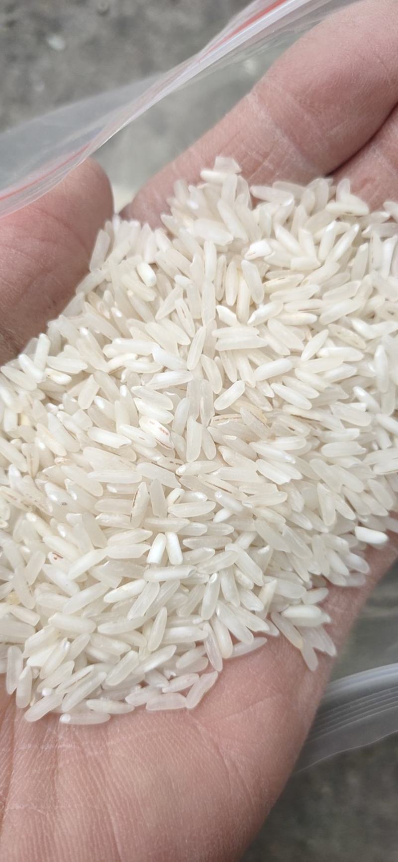大米，1.9一斤包运输，一挂起运