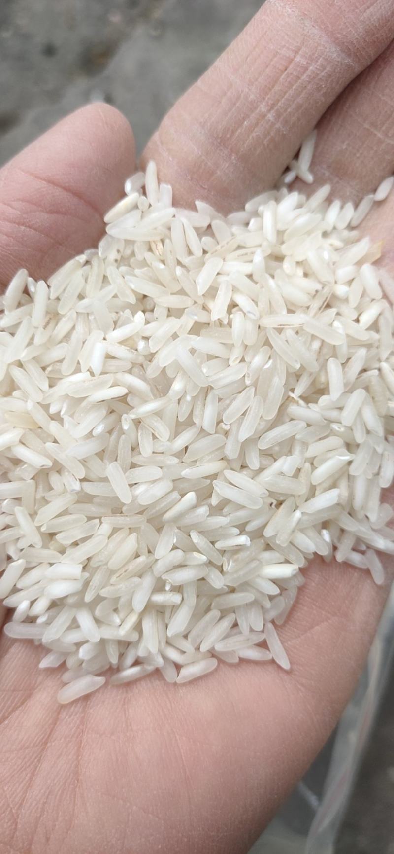 大米，1.9一斤包运输，一挂起运