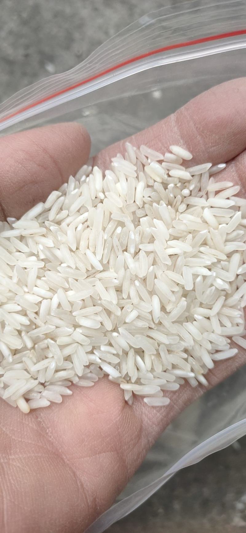 大米，1.9一斤包运输，一挂起运
