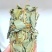 小扎金钱草干度好金钱草金钱草金钱草