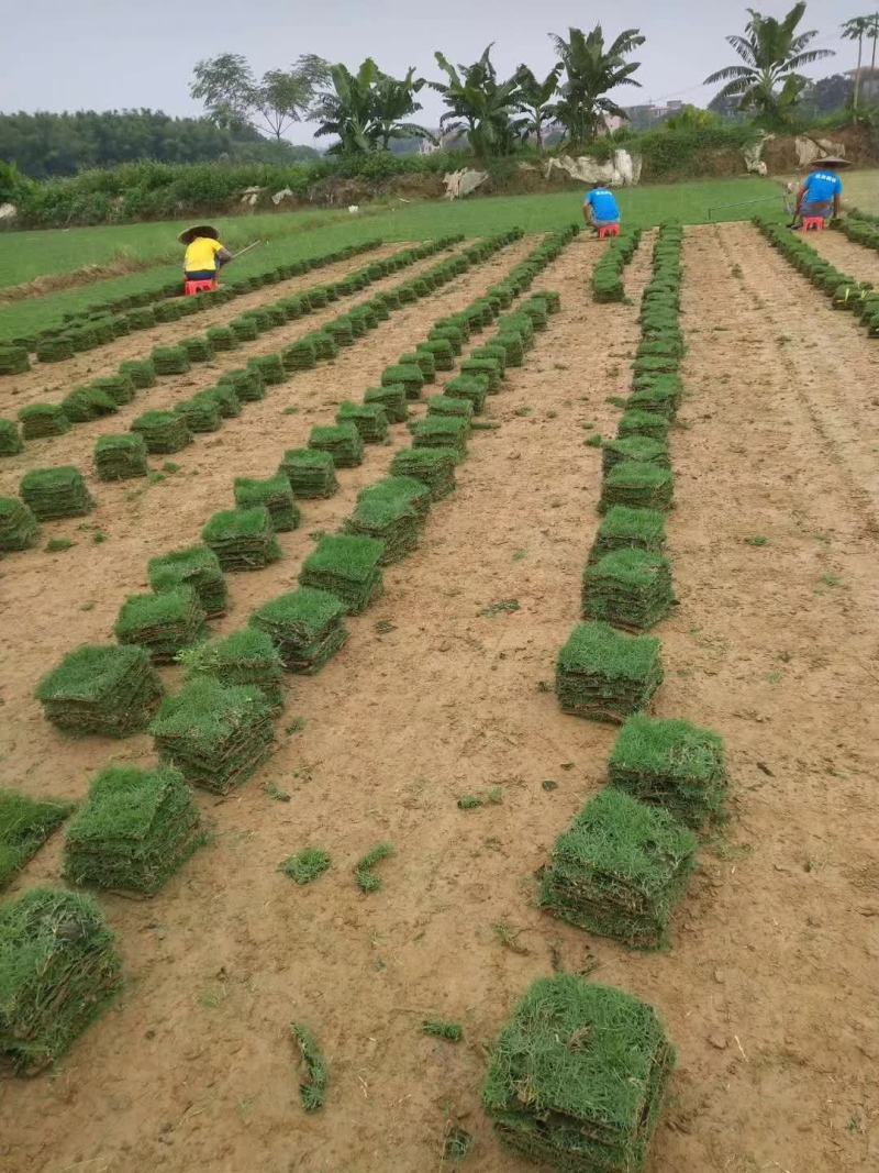 园林绿化工程