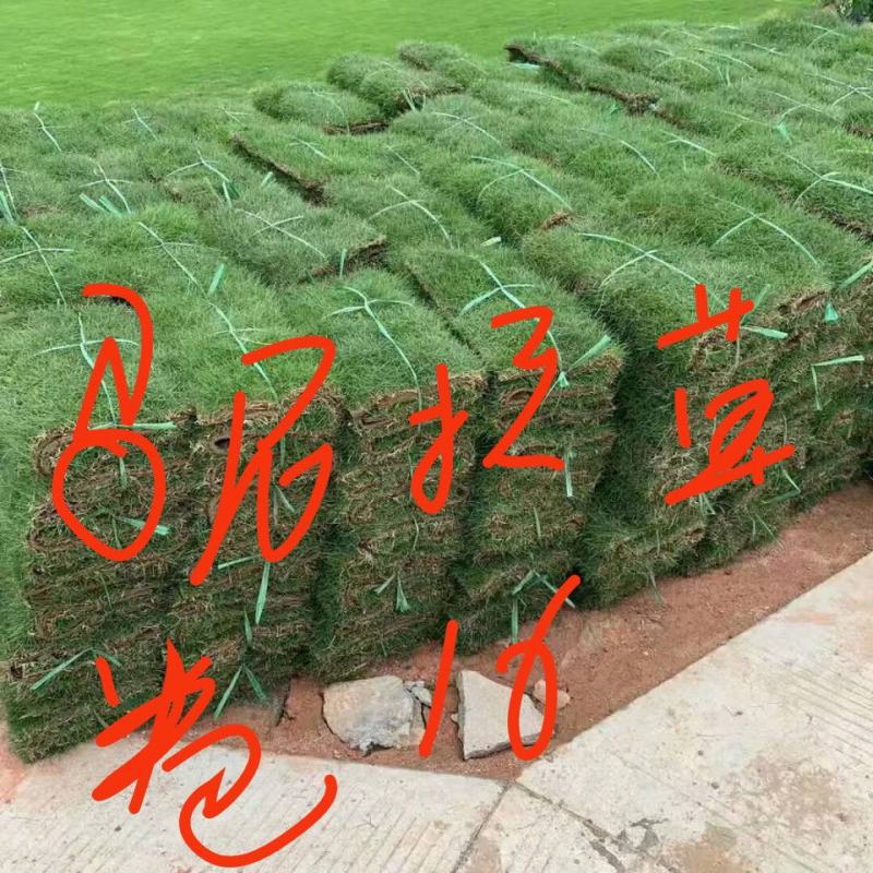 园林绿化工程