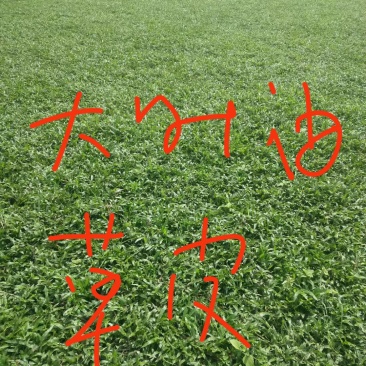 园林绿化工程