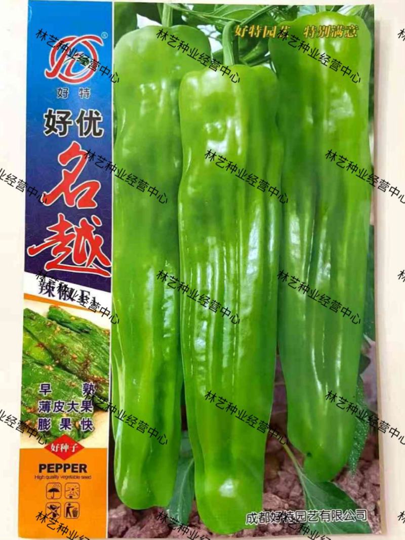好优名越大果薄皮辣椒种子杂交辣椒种抗病抗逆性强黄绿皮辣椒