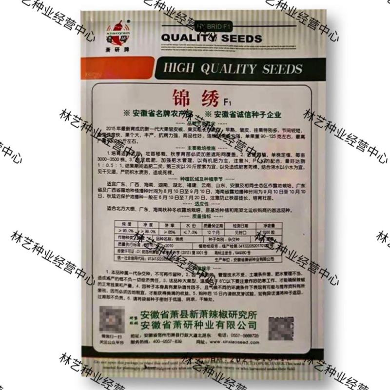 萧研锦绣大果皱皮椒灯笼椒辣椒种子F1早熟大辣椒种籽抗病高