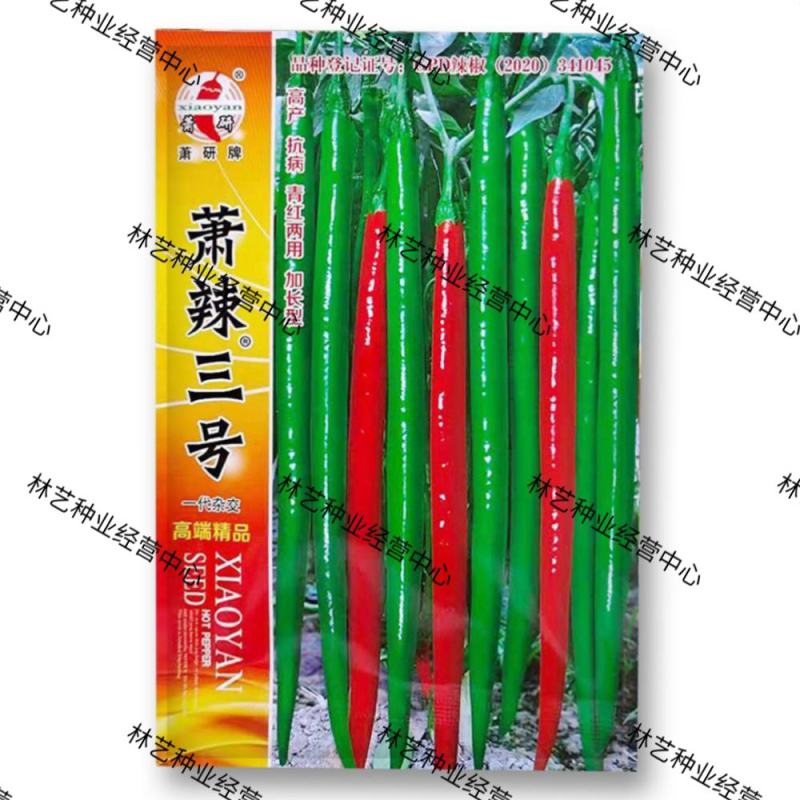 辣椒种子萧辣三十三号长线椒种籽耐湿热高产青红两用三号椒