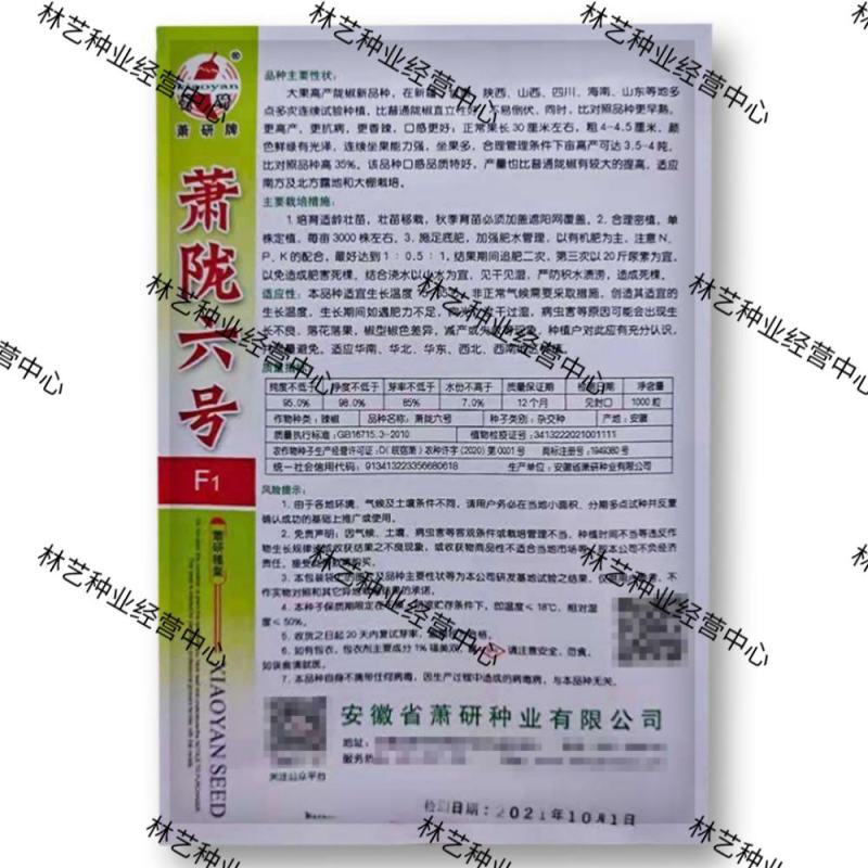 螺丝椒种子萧陇六号高产抗病辣味浓辣椒萧螺一号深螺纹辣椒