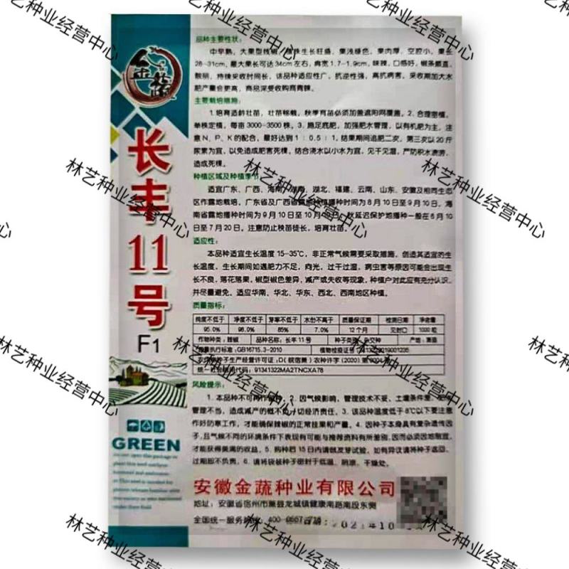金蔬长丰11号辣椒种子早熟抗病高产味辣大果型浅绿线椒大田
