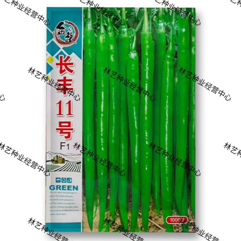 金蔬长丰11号辣椒种子早熟抗病高产味辣大果型浅绿线椒大田