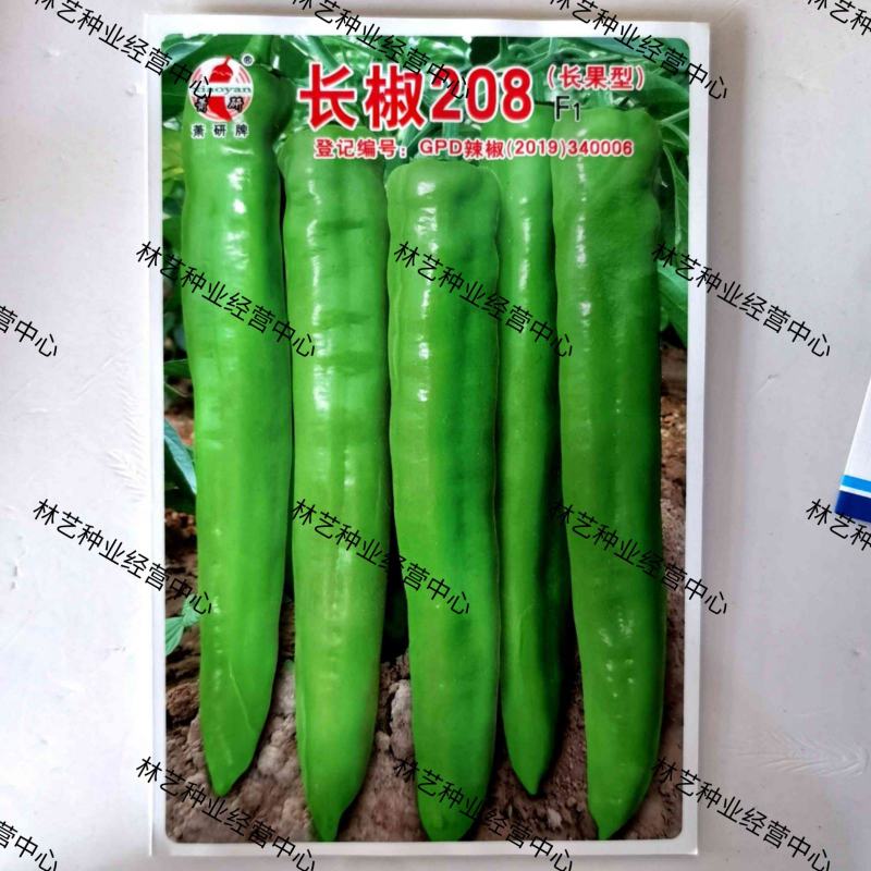 中早熟萧研长椒208辣椒种子辣味中等空腔小坐果强耐储运青