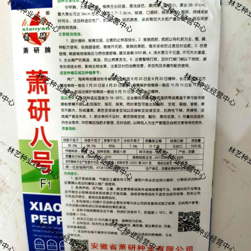 萧研八号辣椒种子萧辣八号长线椒种籽厚肉中早熟顺直味辣春秋