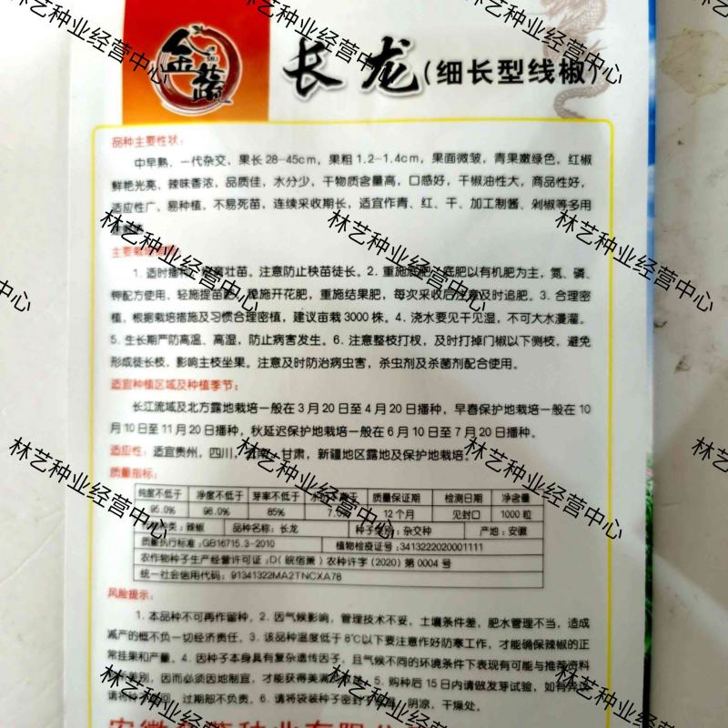 金蔬长龙一代杂交细长型线椒种子中早熟辣椒种子香辣高产多用