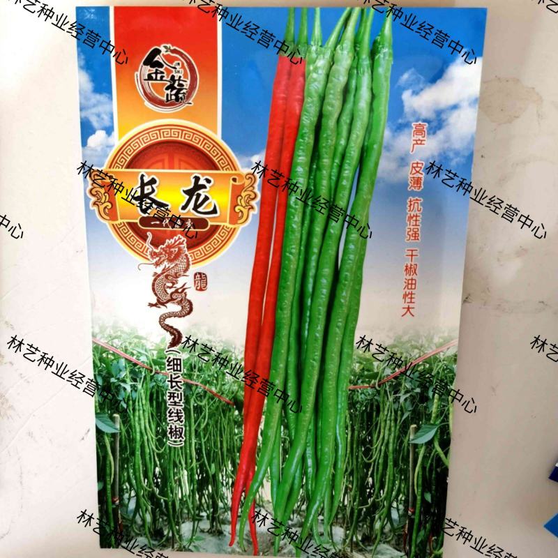 金蔬长龙一代杂交细长型线椒种子中早熟辣椒种子香辣高产多用