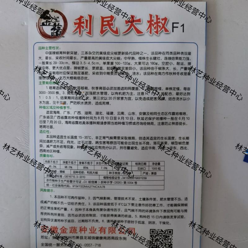 金蔬利民大椒种子F1大果黄绿皮尖椒辣椒种子中辣长黄皮椒耐