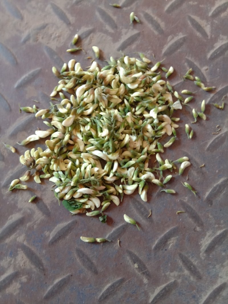 槐花，精品绿色无公害无污染产直供确保食品卫生安全