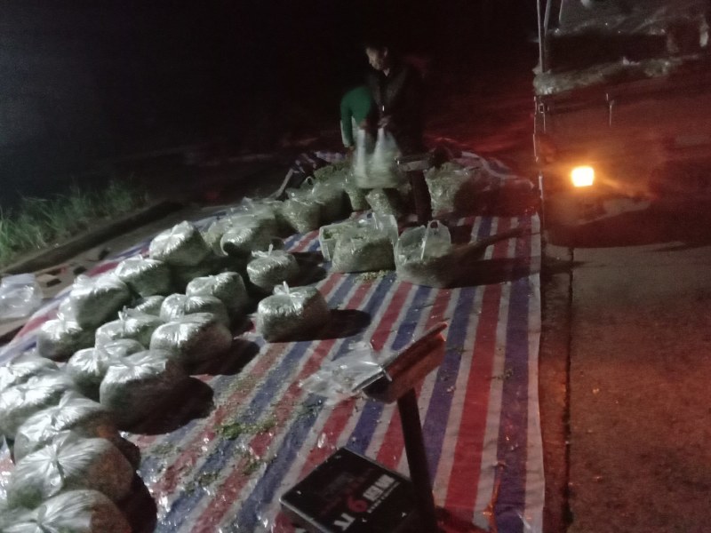 槐花，精品绿色无公害无污染产直供确保食品卫生安全