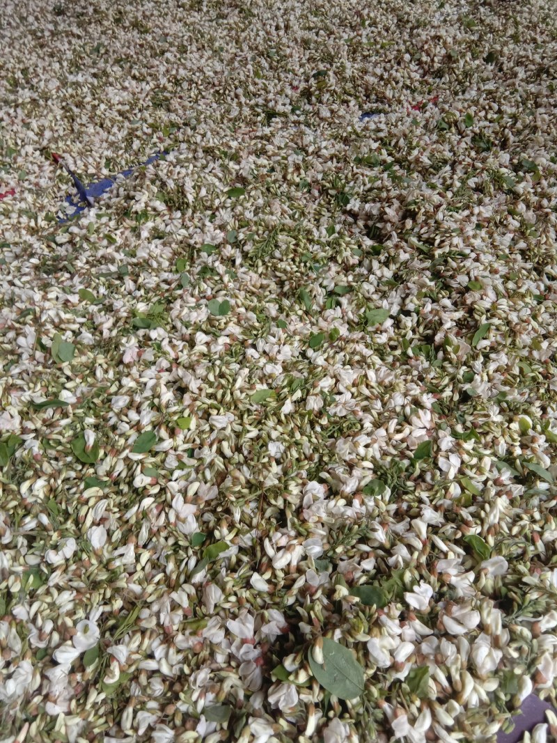 槐花，精品绿色无公害无污染产直供确保食品卫生安全
