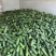 本地毛节瓜大量上市，诚信代办，欢迎咨询……
