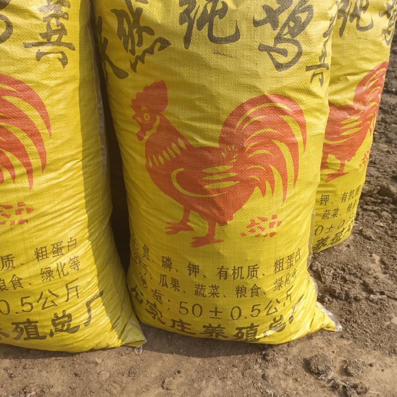 生产场地干鸡粪