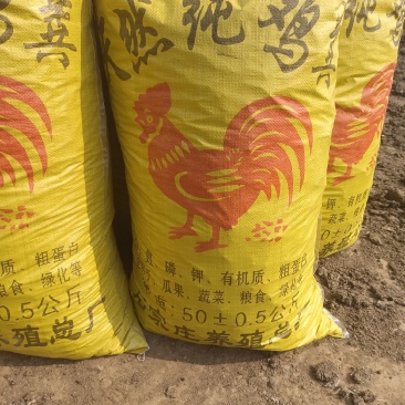 生产场地干鸡粪
