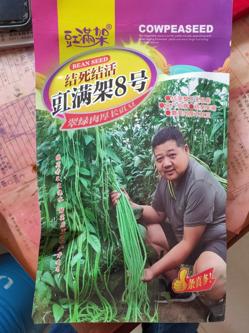 豇满架8号豇豆种子高产荚多无鼠尾一桶包邮