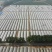 龙薯九号红薯苗脱毒西瓜红红薯苗25~35cm量大从优
