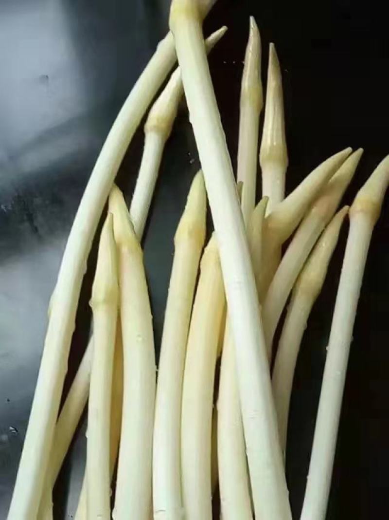 来自于洞庭湖区的季节性美食，一年仅有几个月的时间，藕尖
