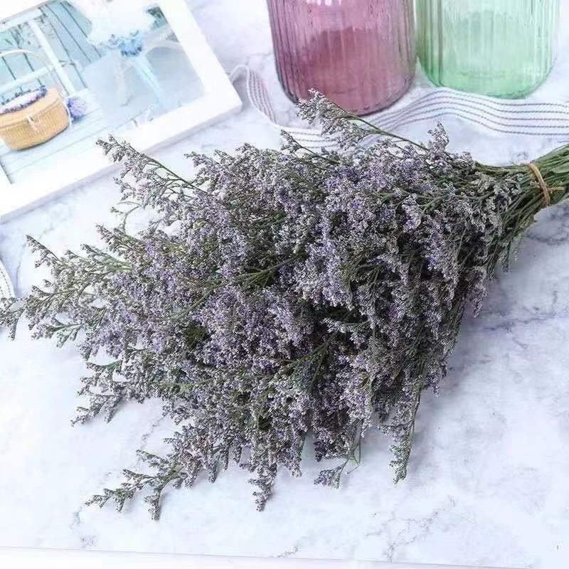 情人草一斤云南鲜花直发配草配花情人草干花鲜花批发零售