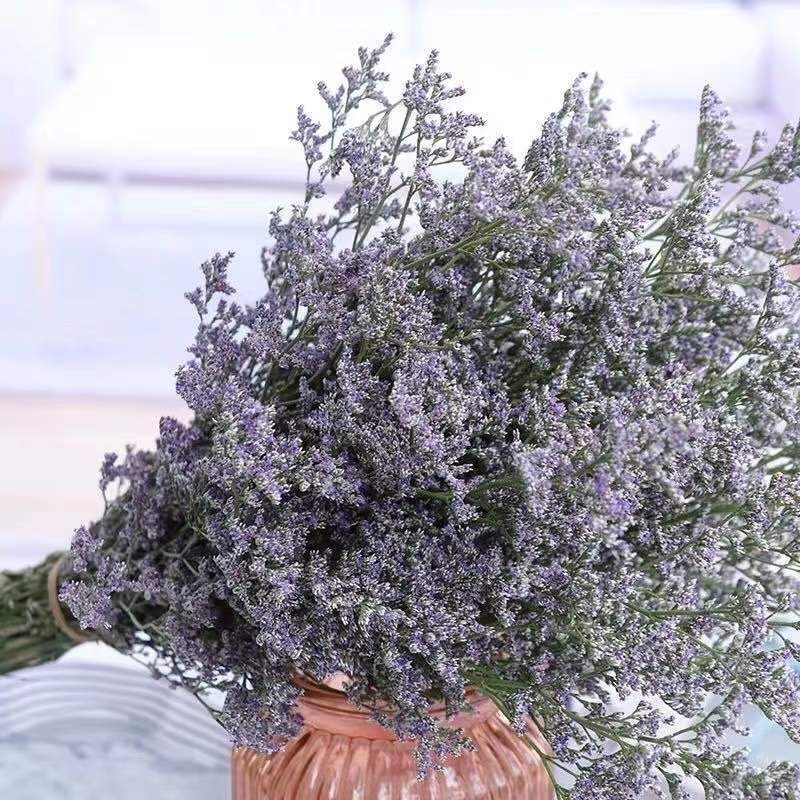 情人草一斤云南鲜花直发配草配花情人草干花鲜花批发零售