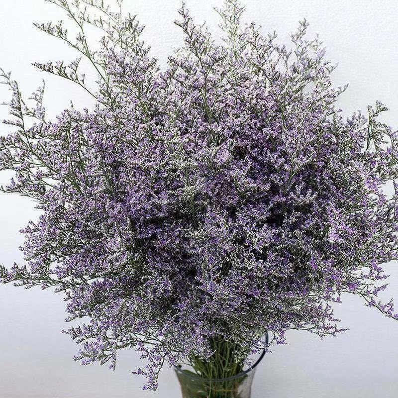 情人草一斤云南鲜花直发配草配花情人草干花鲜花批发零售