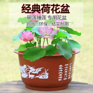 包邮无孔水培荷花盆加厚大加大仿陶瓷塑料花盆碗莲睡莲盆批发