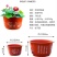 包邮无孔水培荷花盆加厚大加大仿陶瓷塑料花盆碗莲睡莲盆批发