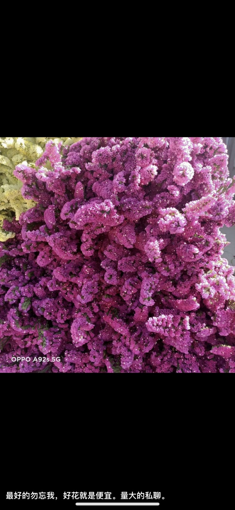 勿忘我干花批发云南鲜花按斤卖可一件代发社区团购平台对接
