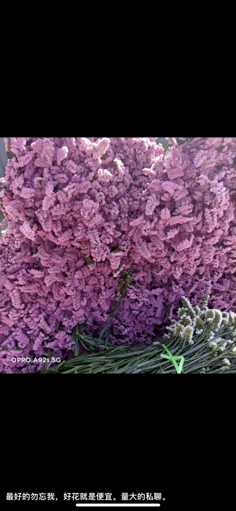 勿忘我干花批发云南鲜花按斤卖可一件代发社区团购平台对接