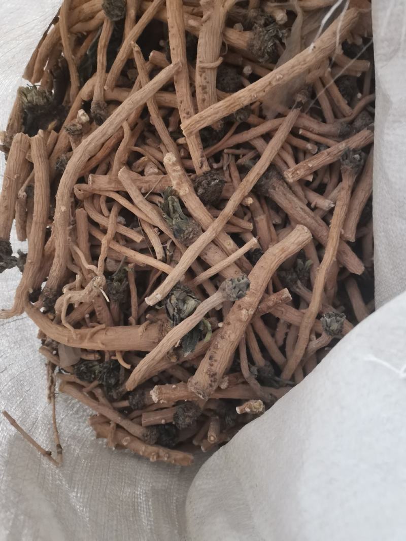 甘肃板蓝根大通货
