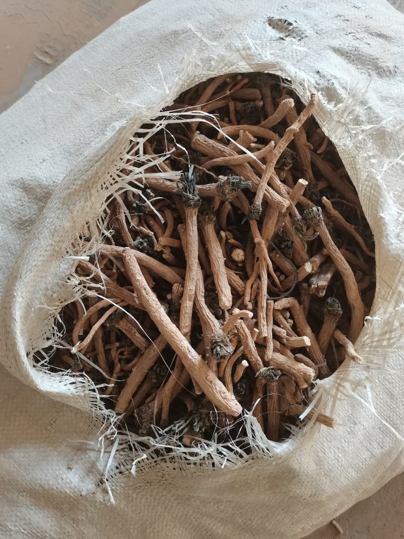 甘肃板蓝根大通货