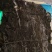 福建霞浦精品挂晒海带无沙优质，各种规格都有