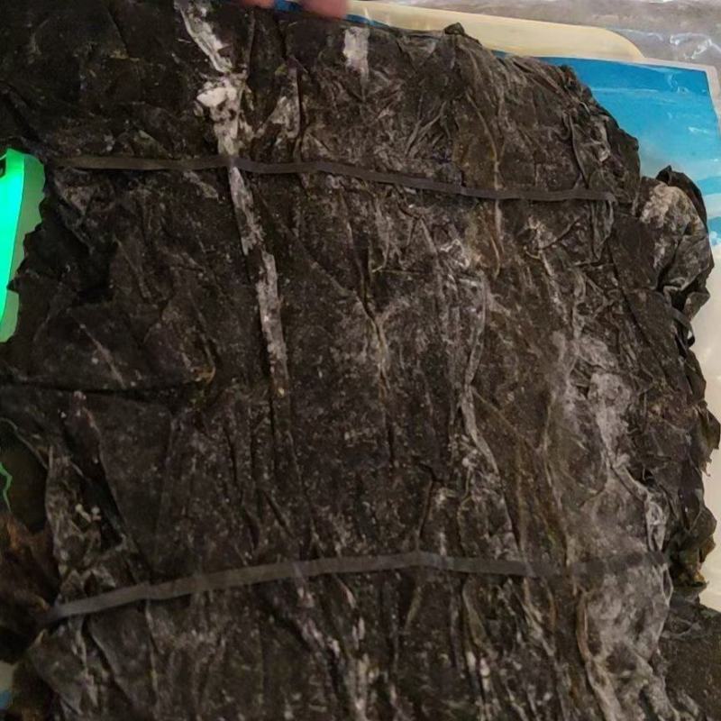 福建霞浦精品挂晒海带无沙优质，各种规格都有