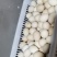 自家养殖场，自家孵化，每天都是新鲜的活珠子，常年有货