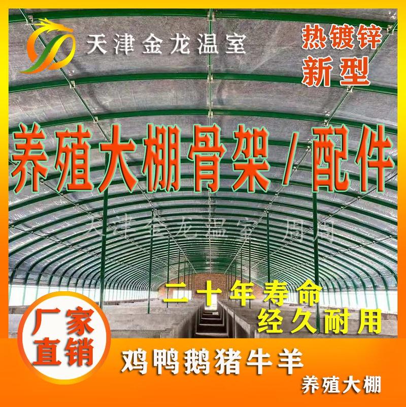 天津养殖大棚骨架热镀锌管可用20年厂家直销量大优惠