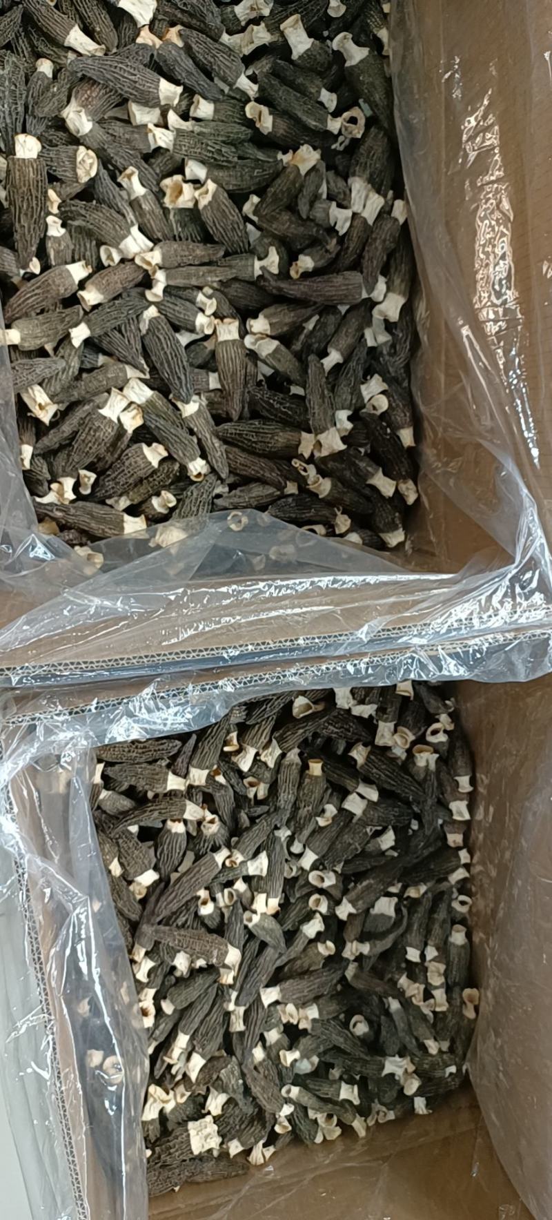 羊肚菌正宗四川羊肚菌高质量货货量有限
