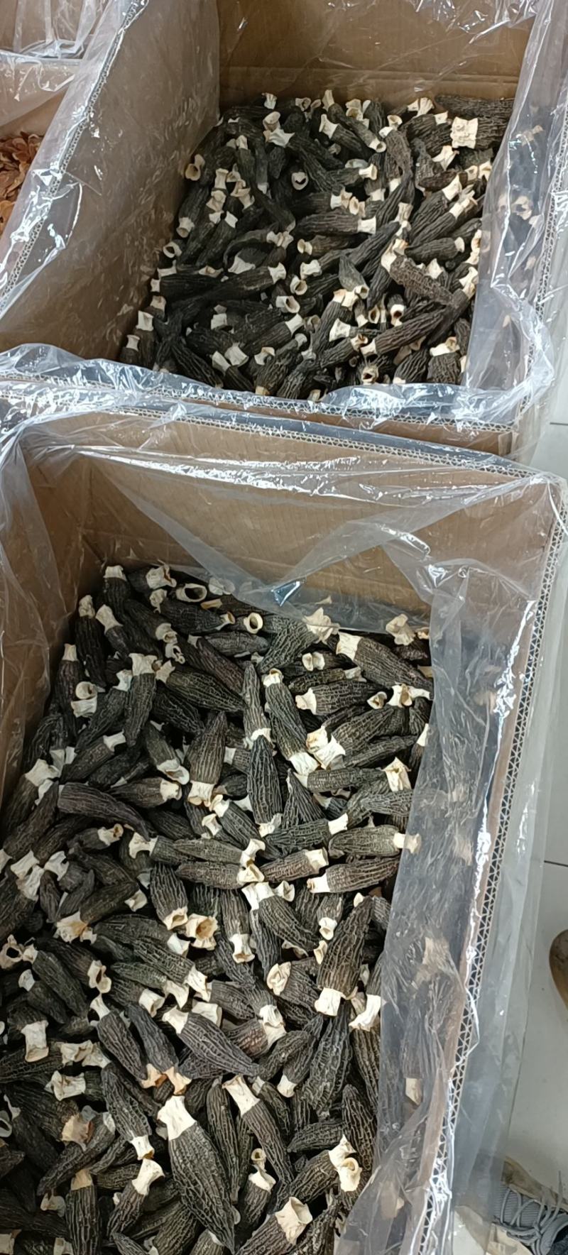 羊肚菌正宗四川羊肚菌高质量货货量有限