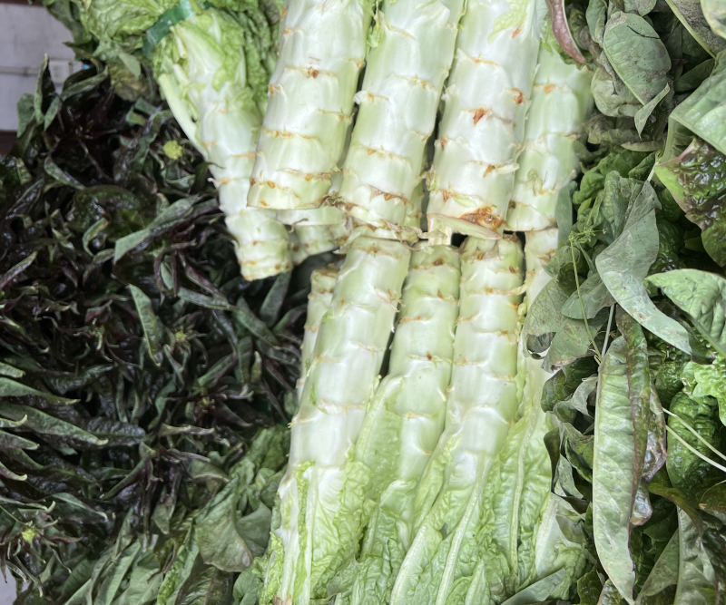 苏州常熟莴笋红叶莴笋青皮种植基地直发电商市场