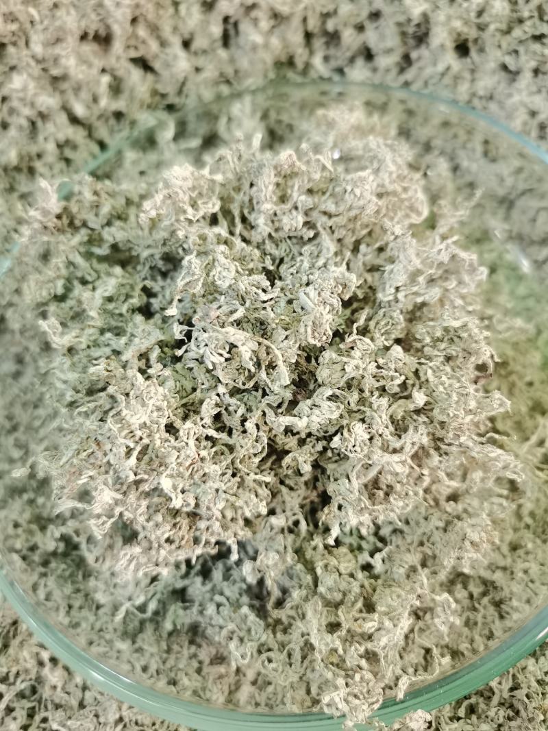 2022新茶上市恩施富硒藤茶来凤特级芽尖茶回甘持久厂批发